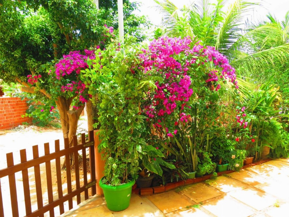 Bela Vista Image 49